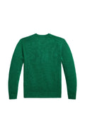 Polo Ralph Lauren Polo Bear intarsia-knit sweater